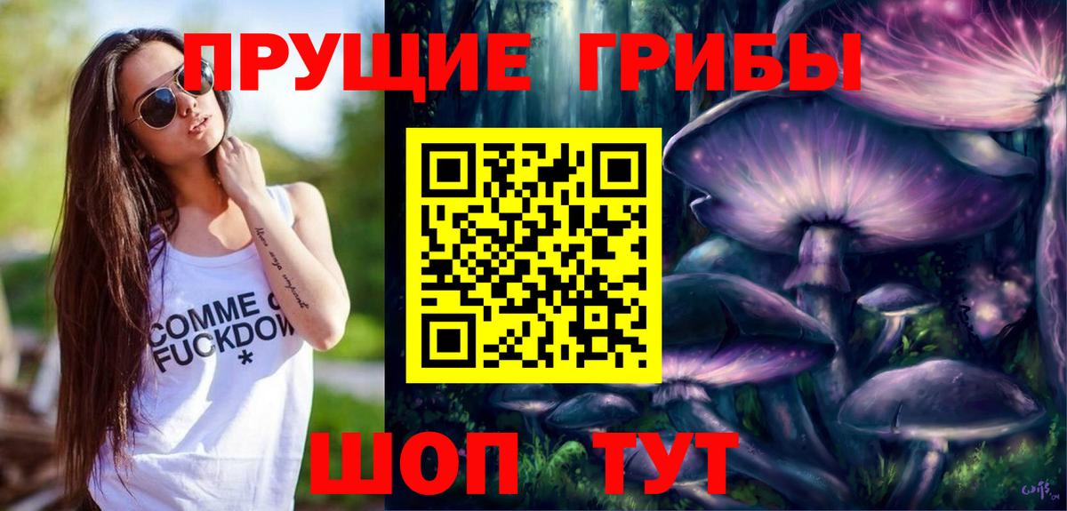 Горно-Алтайск  Галлюциногенные грибы MAGIC MUSHROOMS  Вход с VPN 